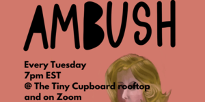 Ambush Comedy on a Brooklyn Rooftop (and Zoom) by David Piccolomini @ The Tiny Cupboard  1717 Broadway  Brooklyn, NY 11207  United States |  |  | 