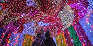 Euphoria: a Holiday Experience by Absurd Conclave @ Absurd Conclave 360 Jefferson st Brooklyn, NY 11237 United States | | |