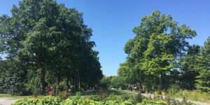 Timed Entry for Queens Botanical Garden Free Hours 2021 by Queens Botanical Garden @ Queens Botanical Garden  43-50 Main Street  Flushing, NY 11355  United States |  |  | 