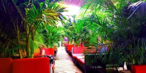 It's the Brunch For Me, Oh Its the Unlimited Drinks For Me by Eric Michael Events Follow 1275 followers @ The Delancey 168 Delancey Street New York, NY 10002 United States