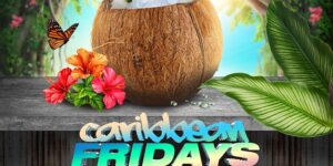 Caribbean Fridays At Jimmys by City Elite Group Follow 8373 followers @ Jimmy's 38 NYC 156 West 38th Street New York, NY 10018 United States