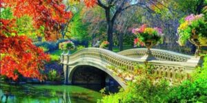 Paint In Central Park by Social Events Follow 12332 followers @ Central Park Central Park New York, NY 10019 United States