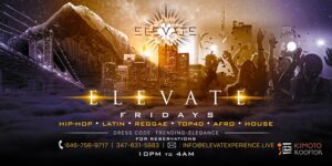ELEVATE FRIDAYS by ELEVATE EXPERIENCE @ Kimoto Rooftop Restaurant & Garden Lounge 228 Duffield Street Brooklyn, NY 11201 United States