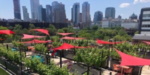 Rooftop Reds Reservations by Rooftop Reds @ Rooftop Reds 299 Sands Street #Building 275 ROOFTOP Brooklyn, NY 11205 United States